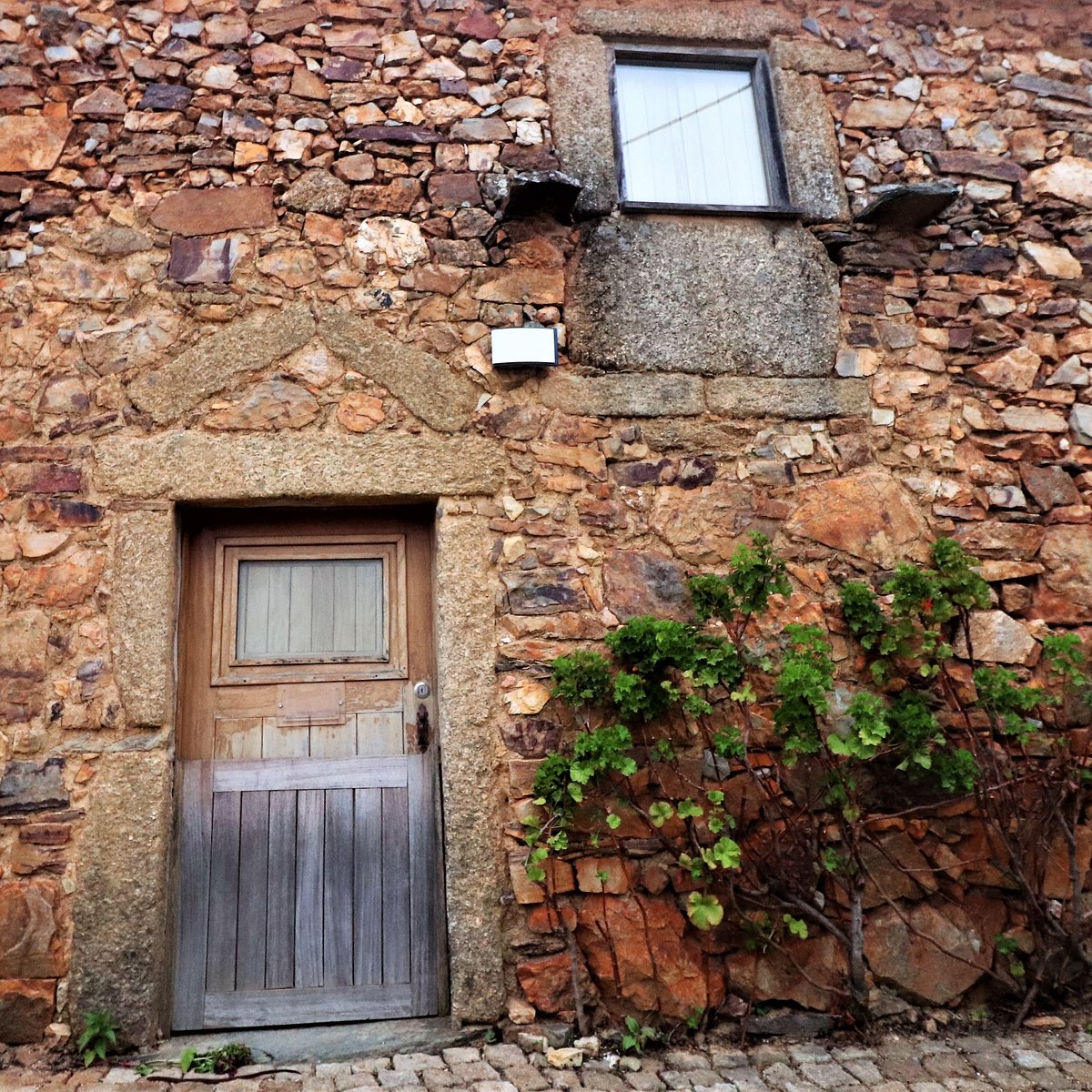 Casa Santa Catarina — Castelo Branco