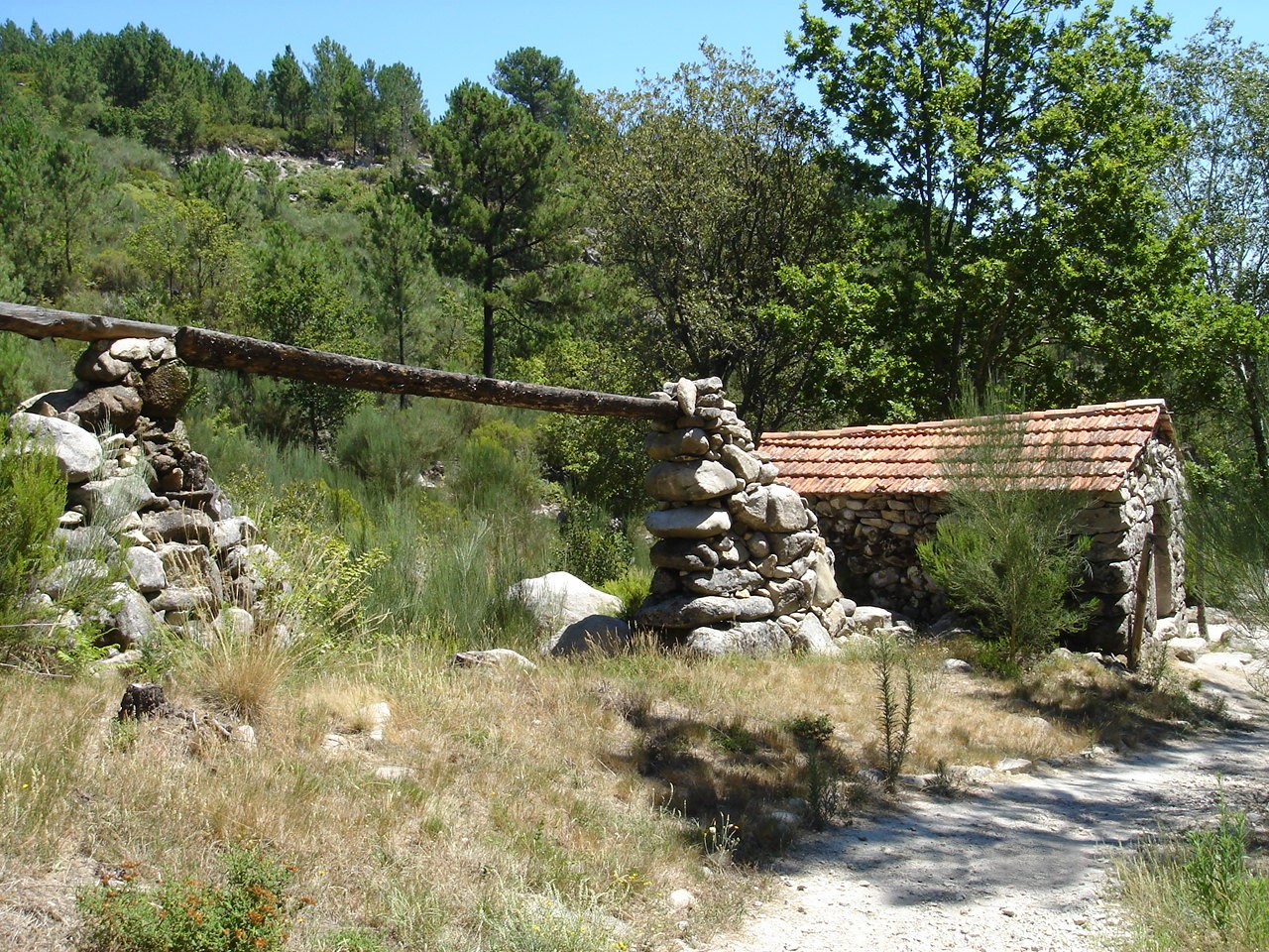 Moinhos do Pisão — Viseu