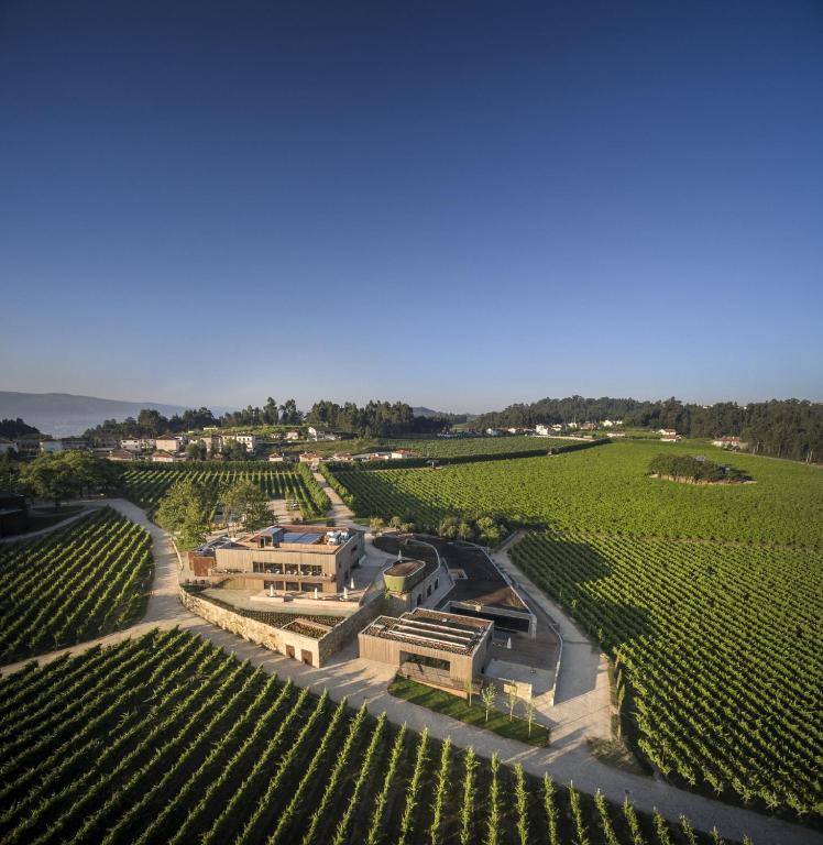 Monverde - Wine Experience Hotel - Member of Unlock Hotels — Braga