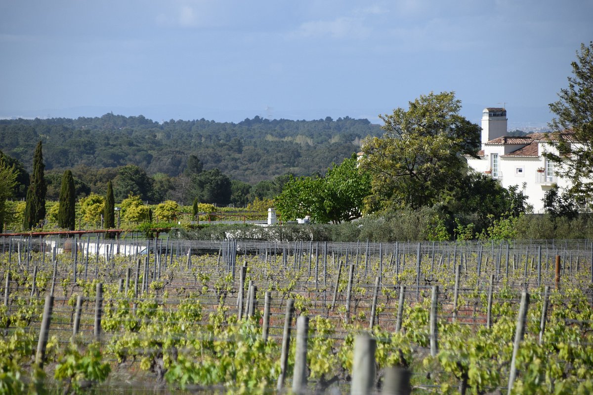 Quinta De Catralvos — Setúbal