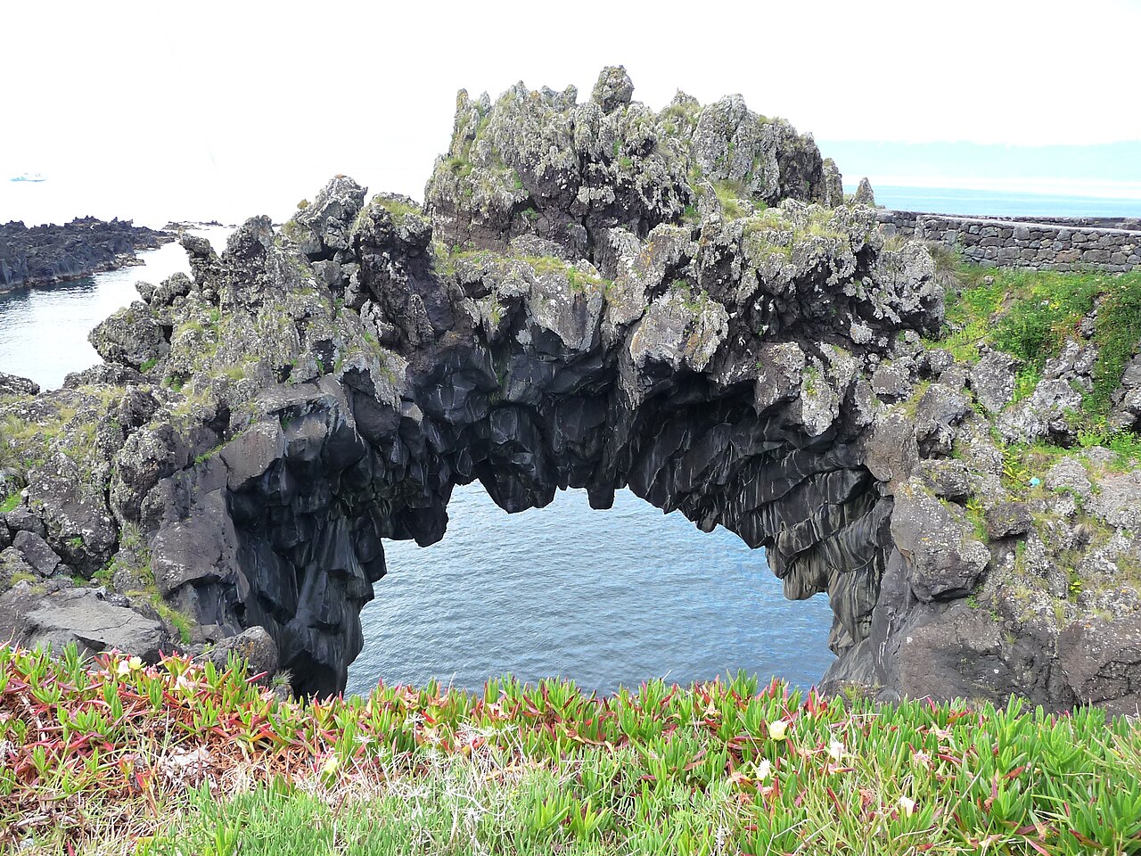 São Jorge Garden — Açores